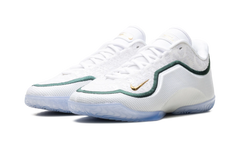 Lebron 23 "From This Point Forward" HJ5629 101