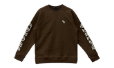 Embroidered CH Hoodie "Brown" CHRM0791