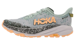 Speedgoat 6 GTX WMNS "Jade Ash Grey" 1155151 JSH
