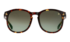 Revolution Acetate "Brown Tortoise / Gray Gradient" MPRE2 0007 40T5
