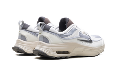 Air Max Bliss WMNS"Next Nature Wolf Grey Summit White" DZ4707 001