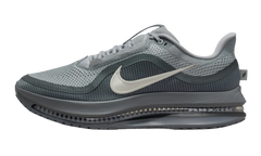 Air Zoom Pegasus Premium "Wolf Grey" HQ2592 013